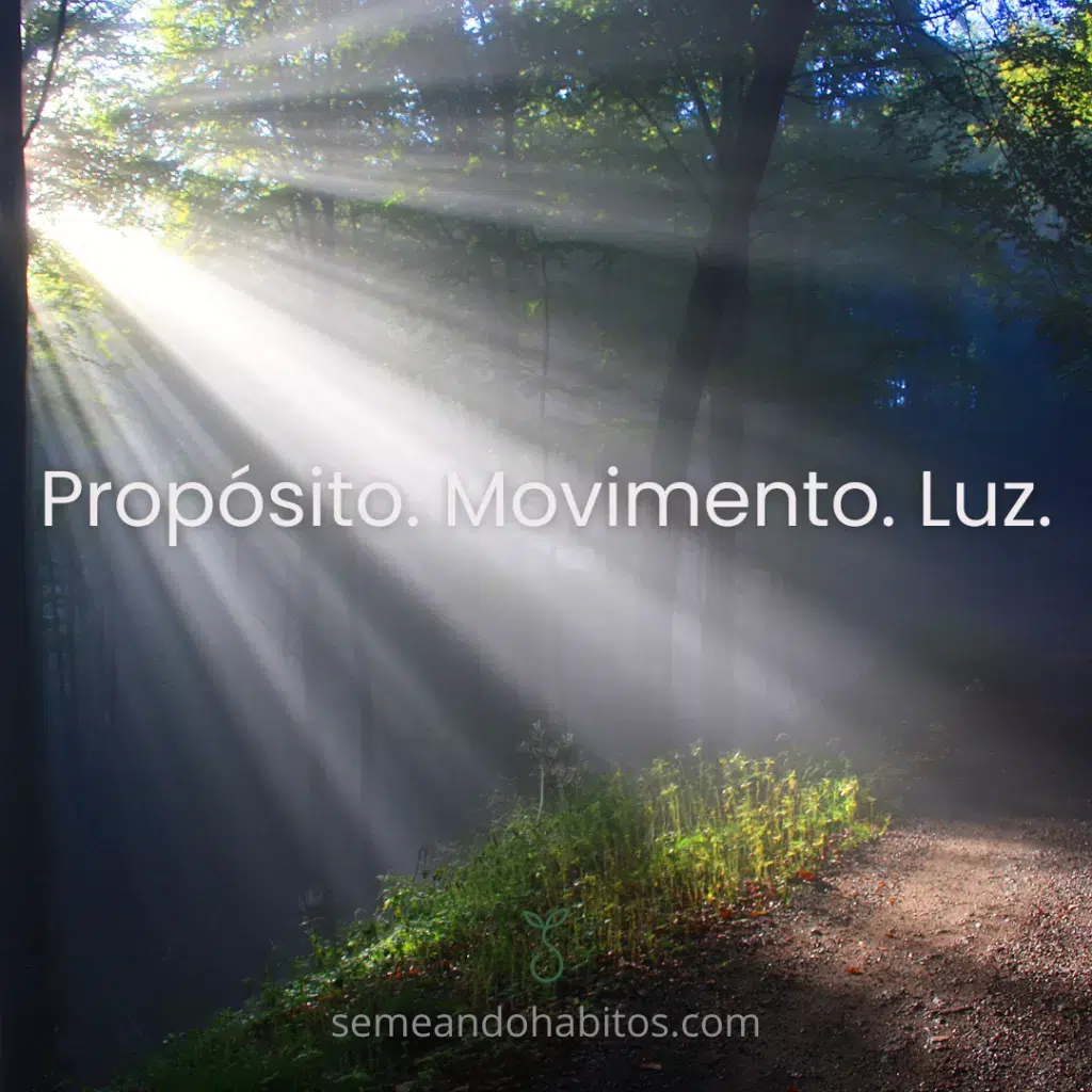 Proposito, movimento, luz