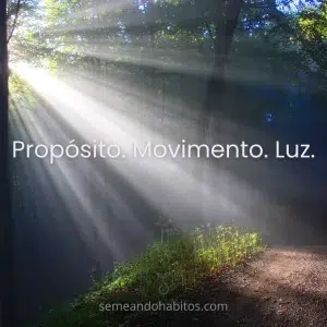 Proposito, movimento, luz